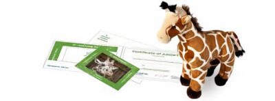 A giraffe plushie with a certificate of adoption.