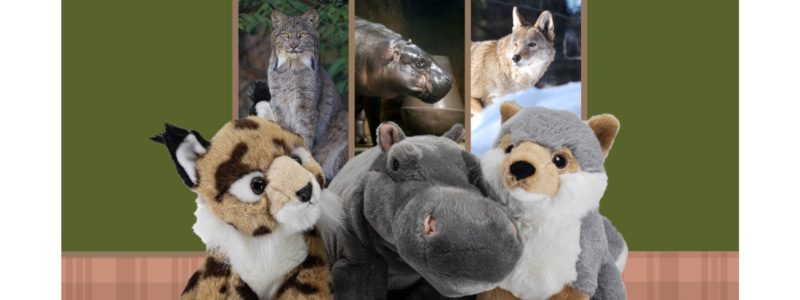 Three plushies with the picture of the animal behind them: bobcat, hippo, and wolf.