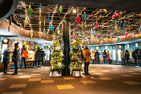 Inside Regenstein Small Mammal-Reptile House